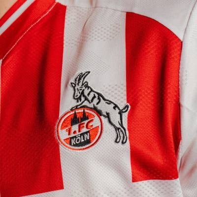 fc_koln_25_26_hummel_diversity_shirt_e.jpg